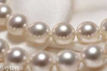 珍珠粉为什么那么便宜 珍珠粉为什么那么便宜