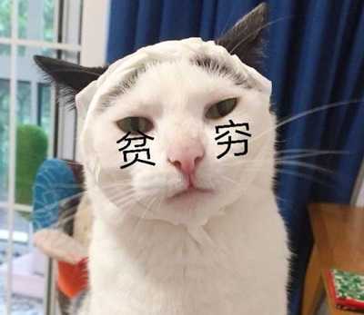 修护精华液怎么用 修护精华液怎么用