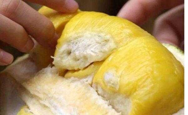 榴莲肉发硬怎么回事?能吃吗? 榴莲肉发硬怎么回事?能吃吗?