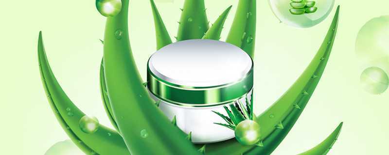 芦荟胶的正确使用时间和方法 芦荟胶的正确使用时间和方法