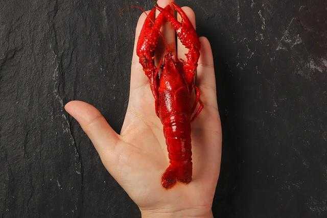 一斤小龙虾大概有多少只 一斤小龙虾大概有多少只