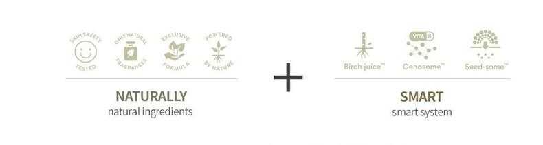 伊蕾泽一共有几个系列