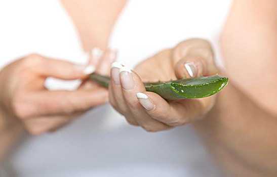 芦荟有哪些美容功效 芦荟的美容功效与作用