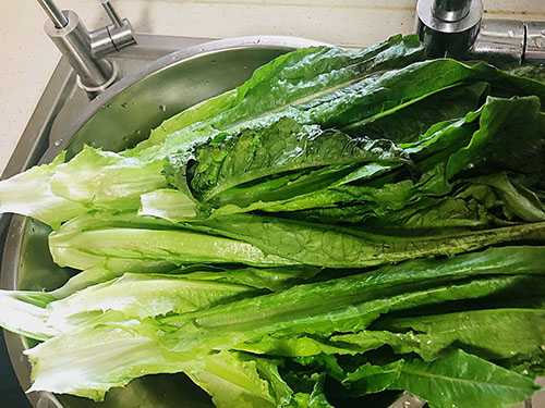 秋季养生菜谱推荐 三个菜谱让你养生不发愁 秋季养生菜谱推荐 三个菜谱让你养生不发愁