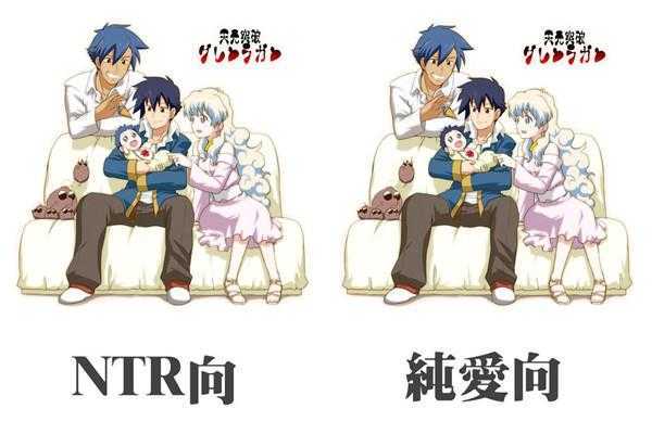 ntr什么意思 ntr什么意思