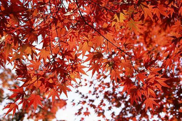 碧柔防晒霜要卸妆吗 碧柔防晒霜要卸妆吗