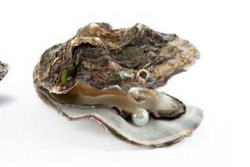 珍珠粉为什么调不粘稠 珍珠粉为什么调不粘稠