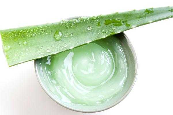 芦荟胶的功效与禁忌 芦荟胶的保质期是多久