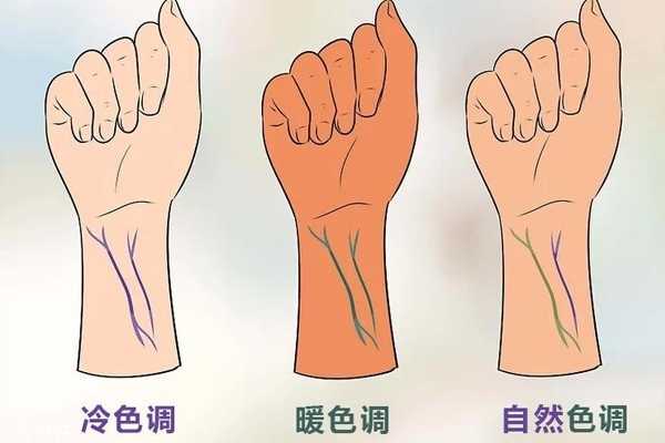 血管怎么判断肤色冷暖