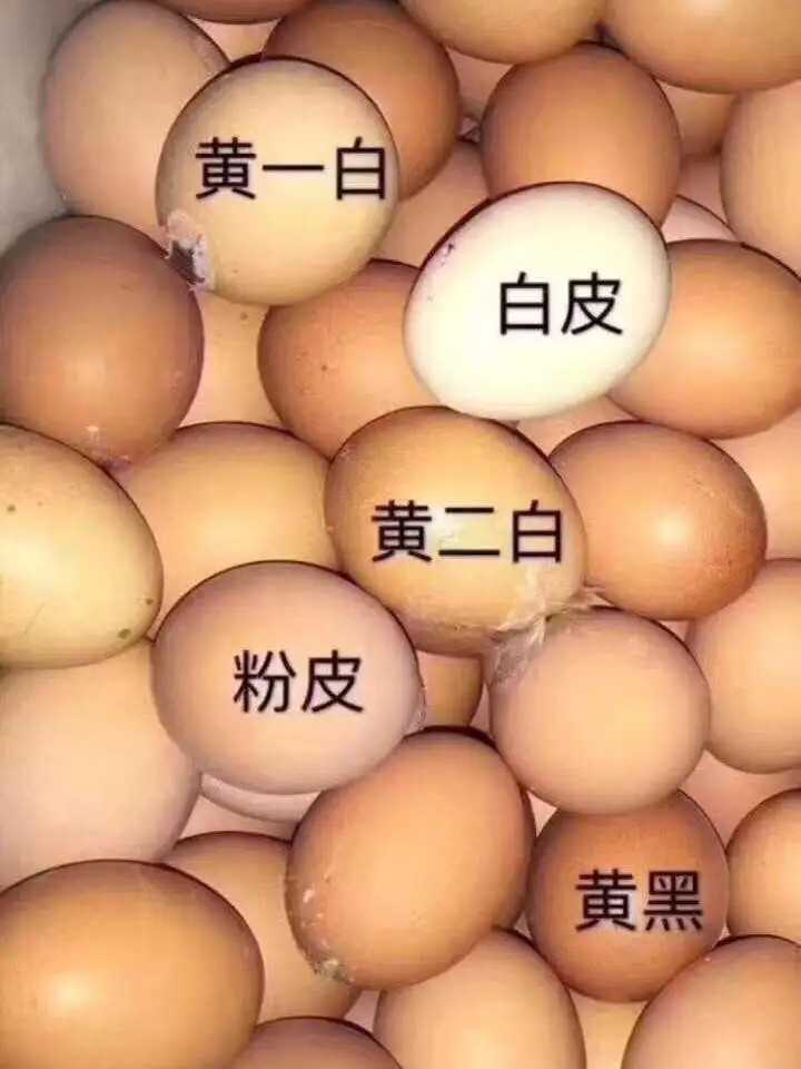 黄调一白二白哪个更白 黄调一白二白哪个更白