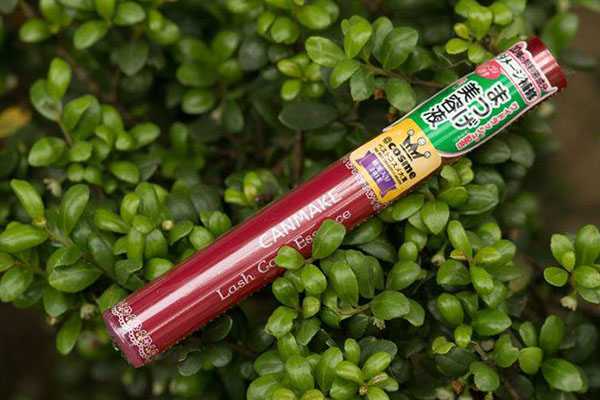 日本CANMAKE毛发增长液好用吗 日本CANMAKE毛发增长液好用吗