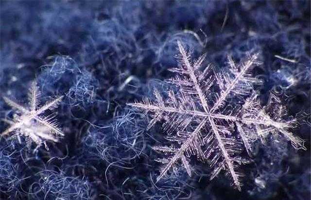 降雪能冻死病毒?