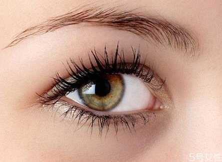 自己在家怎么卸假睫毛？快速卸掉嫁接睫毛的方法