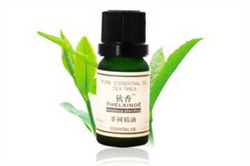 茶树精油有副作用吗 茶树精油有光敏性