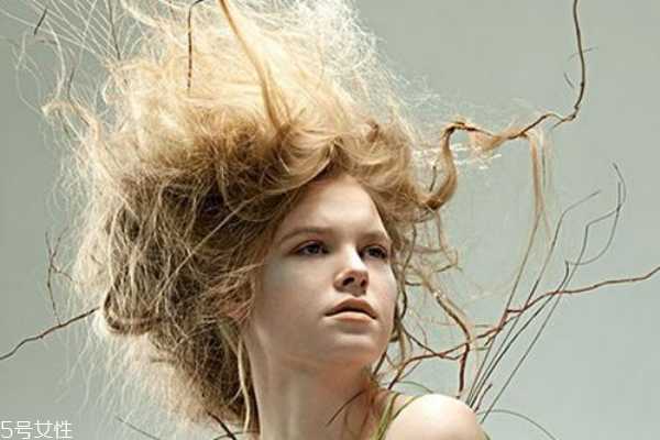 头发干枯毛躁怎么护理