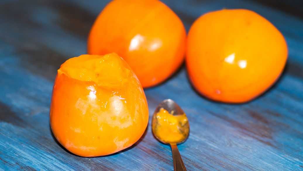 蜜蜡与琥珀区别