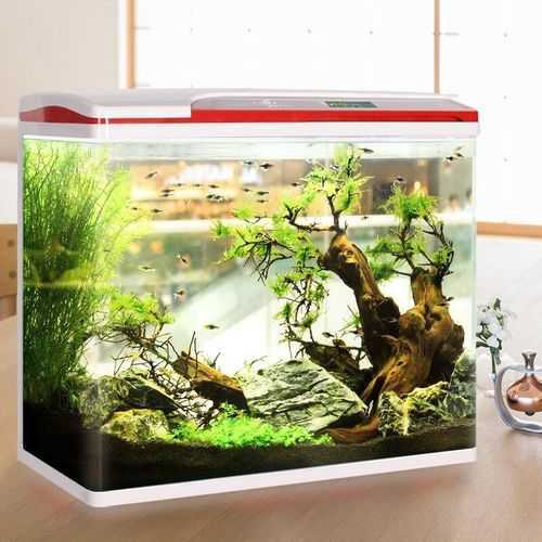 鱼缸怎么换水 鱼缸怎么换水