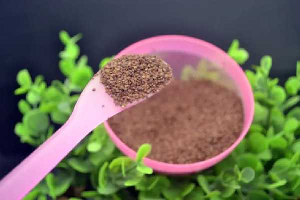 海藻面膜的正确使用方法 海藻面膜的正确使用方法