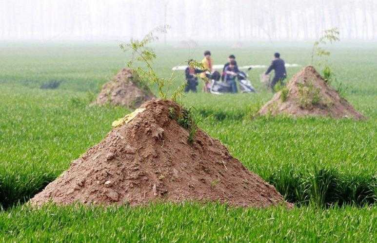 人死了为什么要埋在地下 人死了为什么要埋在地下