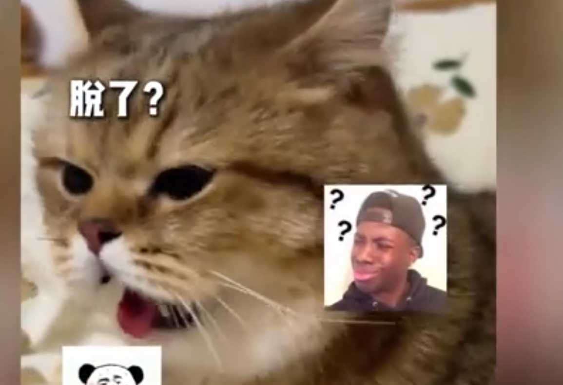 1718677963332983.png image.png