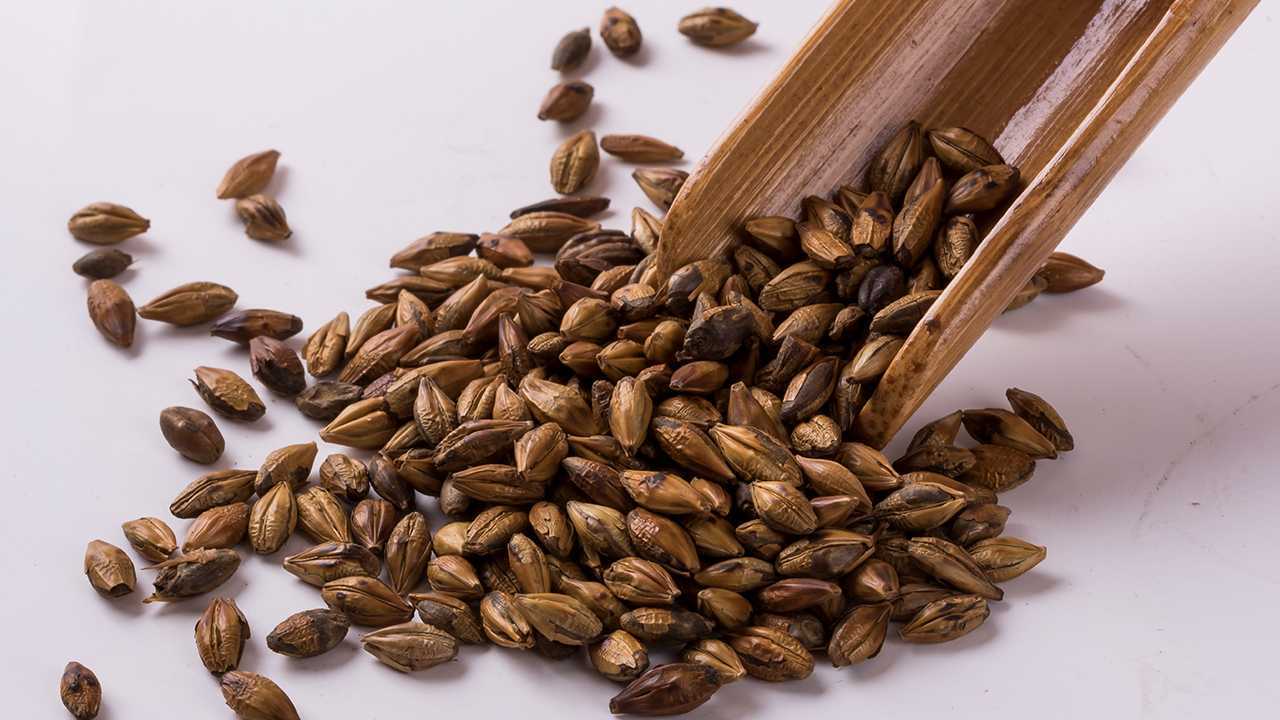 吃动物血可以补铁吗？