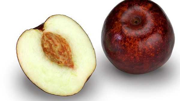 女人养生可以吃什么? 女人养生可以吃什么?