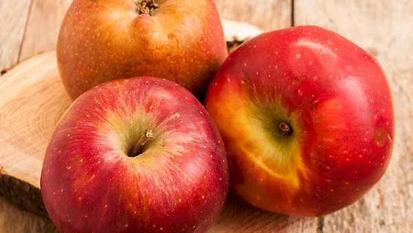 女人吃什么补充营养？推荐十种食物补充营养