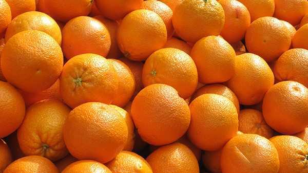 吃什么对皮肤好? 吃什么对皮肤好?