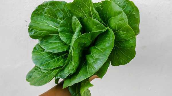 如何通过饮食消除妊娠期水肿 如何通过饮食消除妊娠期水肿