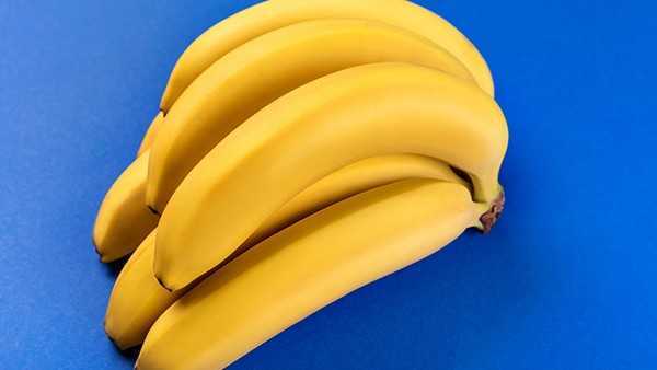 贫血可以吃什么? 贫血可以吃什么?