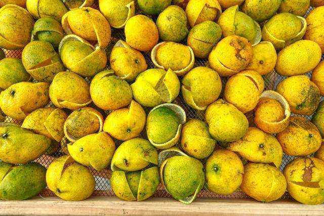 脾胃不好可以喝茶吗