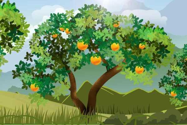 柚子是发物吗 柚子是发物吗