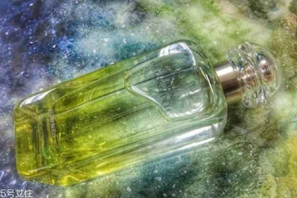 柑橘调香水有哪些？橘子味香水哪个牌子最好