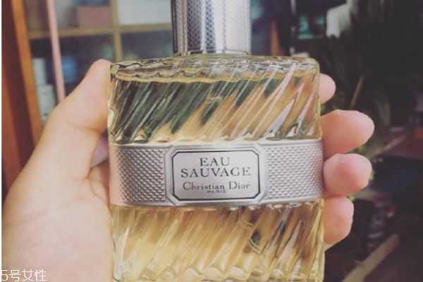 柑橘调香水有哪些？橘子味香水哪个牌子最好