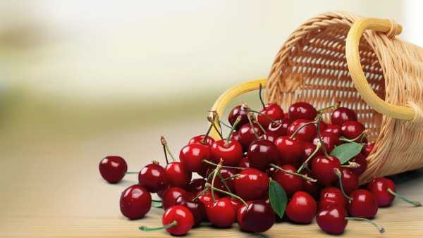 能美白的水果有哪些? 能美白的水果有哪些?