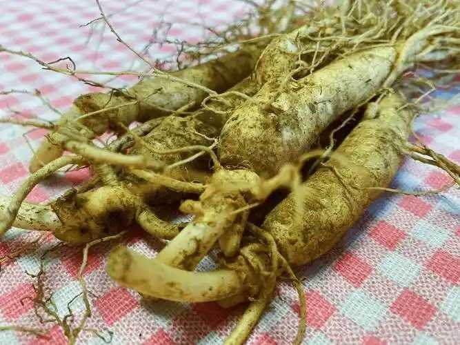 含有人参的护肤品有什么功效 含有人参的护肤品有什么功效