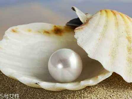 珍珠粉为什么那么便宜 珍珠粉为什么那么便宜