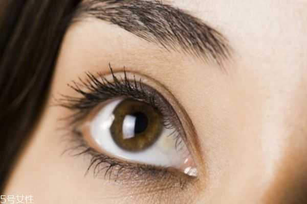 睫毛老是掉怎么办