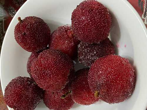 杨梅有哪些正确的保存方法 杨梅有哪些正确的保存方法