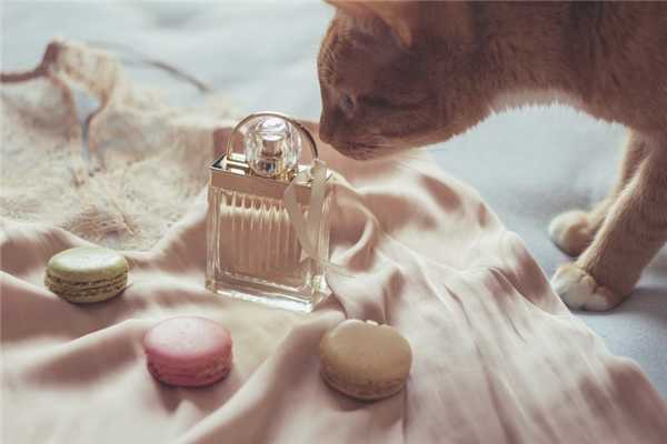 香水有麝香成分吗？影响怀孕吗？