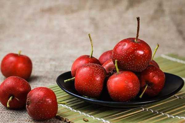 孕妇可以吃杏吗 孕妇可以吃杏吗