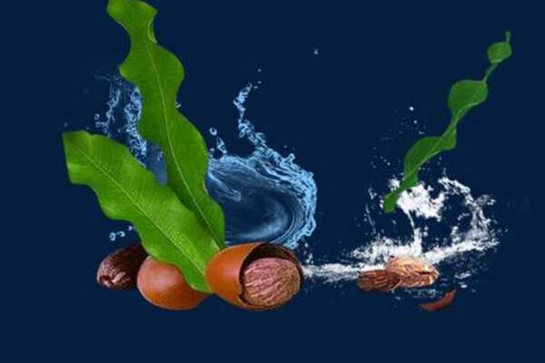 乳木果和马油护手霜哪个好用