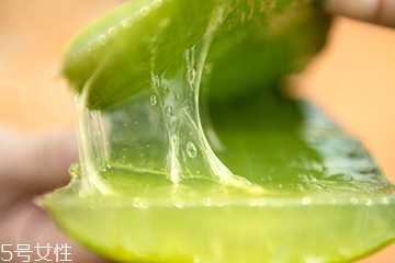 芦荟水可以当爽肤水用吗？芦荟水使用方法