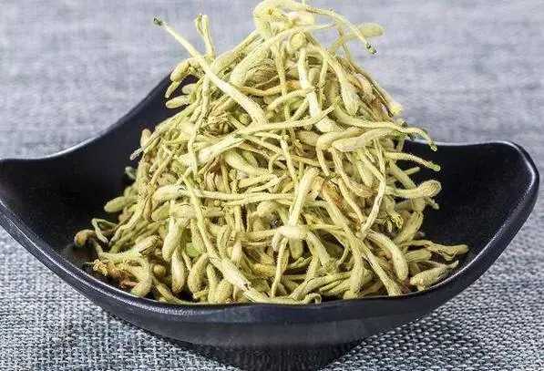 金银花的功效与作用 金银花的功效与作用