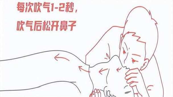 人工呼吸的正确方法是呼还是吸 人工呼吸的正确方法是呼还是吸