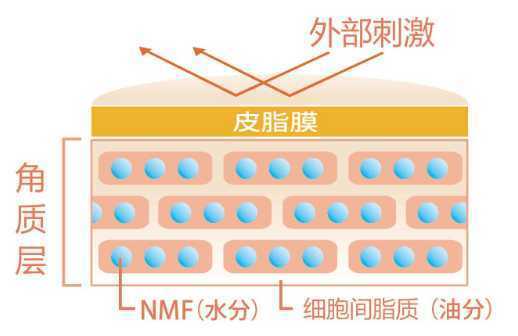 怎么判断自己的角质层薄还是厚 怎么判断自己的角质层薄还是厚