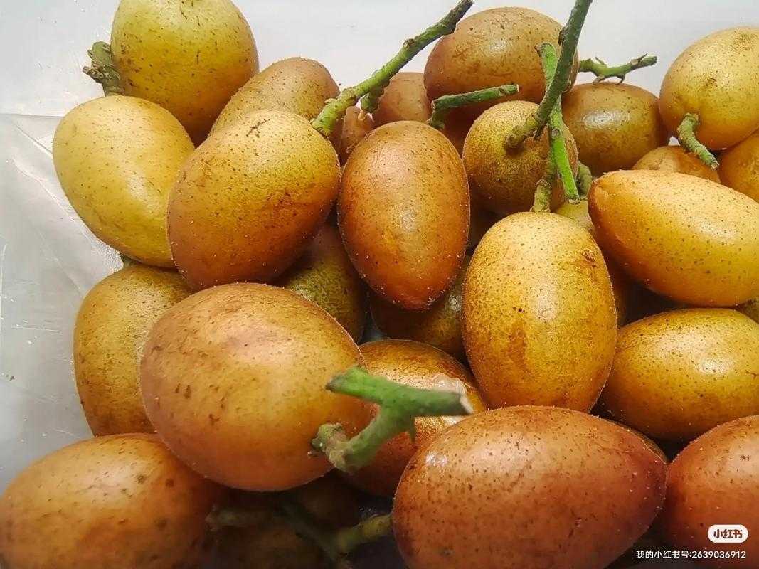 黄皮果的功效与作用：生津止渴、养胃健胃、化痰平喘