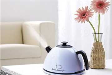 加湿器里面可以放精油吗?加湿器中加什么好 加湿器里面可以放精油吗?加湿器中加什么好