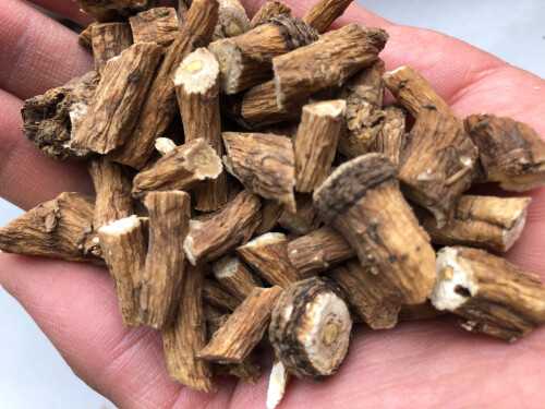 蒲公英的药用价值和功效 女人常喝蒲公英的好处