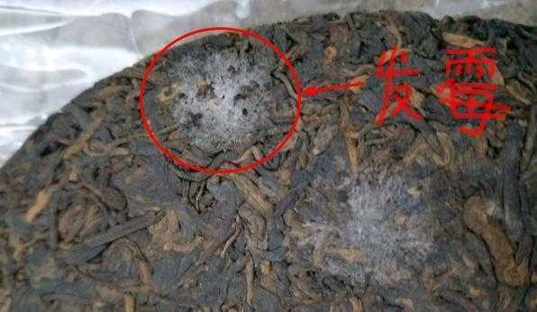 茶毫和发霉怎么分 茶毫和发霉怎么分